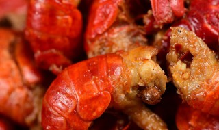 熟龙虾尾怎么保存（熟龙虾尾怎么保存久一点）