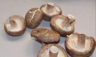 菘茸怎么保存（菘茸怎么保存时间长）