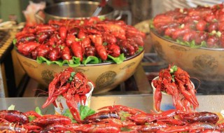 辛辣食物指的是什么（辛辣食物指的是什么辛指什么）