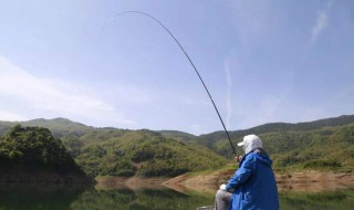 深水如何做钓黄尾（深水如何做钓黄尾鱼饵）