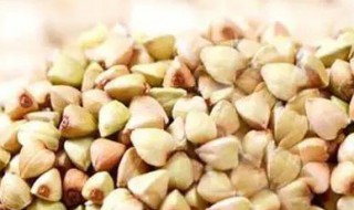 血糖高吃什么主食好（血糖高吃什么主食好点）