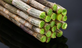 鲜石斛怎么吃（鲜石斛怎么吃是正确的）