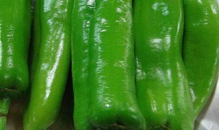 夏天怎样保存青椒的保鲜方法 夏天怎样保存青椒的保鲜方法视频