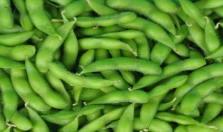 毛豆的怎么保存方法 毛豆怎样保存时间久