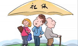 怎样查社保交了多少年 手机怎样查社保交了多少年