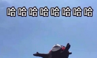 三个哈哈哈是什么意思?（三个哈哈哈是什么意思）