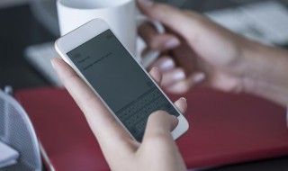 什么叫飞行模式 什么叫飞行模式截图