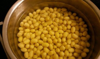 泡黄豆做法窍门 泡黄豆做法窍门图片