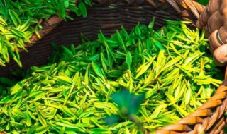 喝绿茶有什么好处与坏处 喝绿茶有什么好处坏处,绿茶有保质期吗?