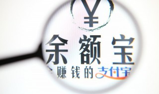 怎样登录支付宝主页（怎样登录支付宝主页账号）