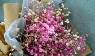 干花做了怎么保存 干花做了怎么保存不变色