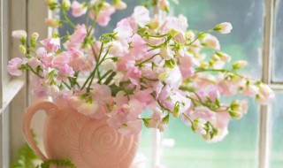 鲜花怎么保存更长 鲜花怎么保存更长久