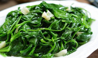 木耳菜能吃吗 孕妇木耳菜能吃吗