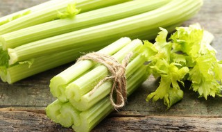 芹菜夏天高温种植方法 夏天种植芹菜温度高怎么办