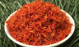 红花的食用方法和用量 红花的用法与用量