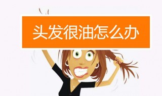 头发出油怎么办好