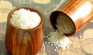 米生飞蛾怎么处理 米生飞蛾怎么处理干净