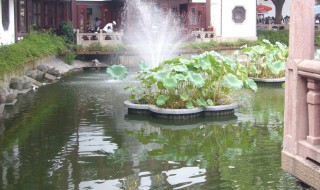 水肥起泡沫怎么处理