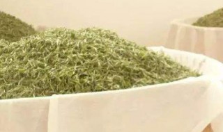 烘干白茶的方法 烘干白茶的方法和方法