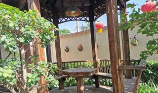 庭院驱鸟的方法（庭院驱鸟器）
