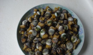 菜螺的养殖方法（菜螺图片）