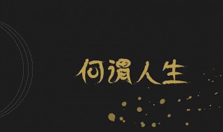 何为人生用一句话概括（什么是人生用一句话概括）