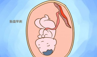 生孩子的方法 不需要自己生孩子的方法