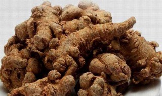 大芸的功效与作用及食用方法 大芸的功效与作用及食用方法锁阳