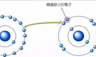 清除自由基最好的方法（清除自由基最好的方法硒）
