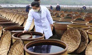 醋吃多了会怎么样 醋吃多了会怎么样?