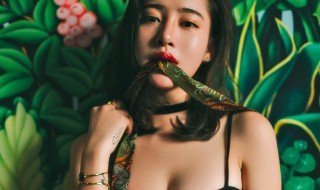 绿茶女什么意思（绿茶女什么意思暗语）