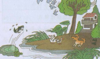 地震前有哪些异常征兆 地震前有哪些异常征兆动物