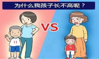 初中生怎样可以长高（初中生怎样长高并且让腿变长）