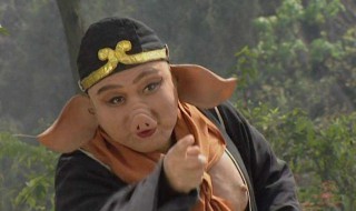 八戒都哪八戒呢 八戒是哪八个
