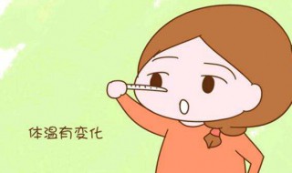 怎样确定排卵期（怎样确定排卵期是哪一天）