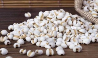 怎样吃薏米可以祛斑 薏米四种人不能吃