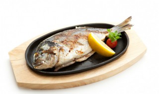 米饭团钓鲫鱼如何做（饭团能钓鱼吗）