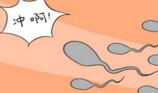 怎样才可以怀孕（怎样才可以怀孕快一点）