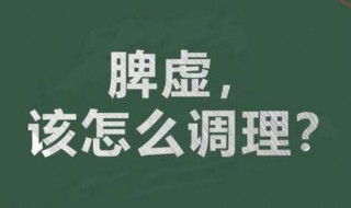 脾虚要怎样调理 补脾第一名中药