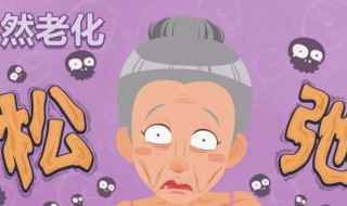 减慢衰老的方法（减慢衰老的方法不包括）