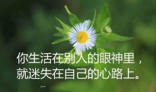 经典句子人生感悟（简短经典句子人生感悟）