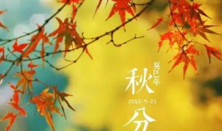 秋分是秋天的第几个节气 秋分是秋天的第几个节气?A.2B.3C.4