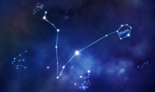 双子子座和什么星座最配 双子座和哪些星座最配?