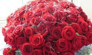 九朵玫瑰花代表什么（九朵玫瑰花代表什么意义和象征）