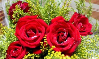 5朵玫瑰花代表什么意思 5朵玫瑰花代表什么意思是什么
