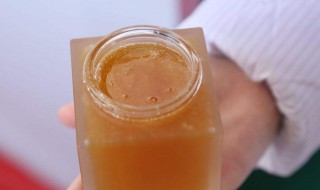 什么是自然成熟的蜂蜜 自然成熟蜂蜜功效