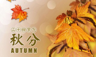 春夏秋冬分别是哪几个月 春夏秋冬分别是哪几个月英语