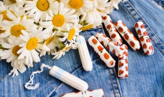 菊花象征含义（菊花象征的含义是什么）