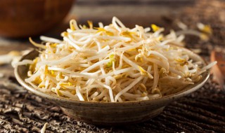 豆芽的营养价值及功效（黄豆芽的营养价值及功效）
