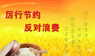 如何从自身做起厉行节约（如何从自身做起厉行节约的事情）